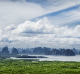 出轨的婚姻晋江 出轨的婚姻晋江文学城？