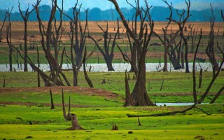 婚姻冷淡期出轨 婚姻冷淡期出轨怎么办？